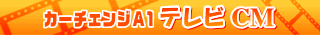 �J�[�`�F���WA1 �e���r CM
